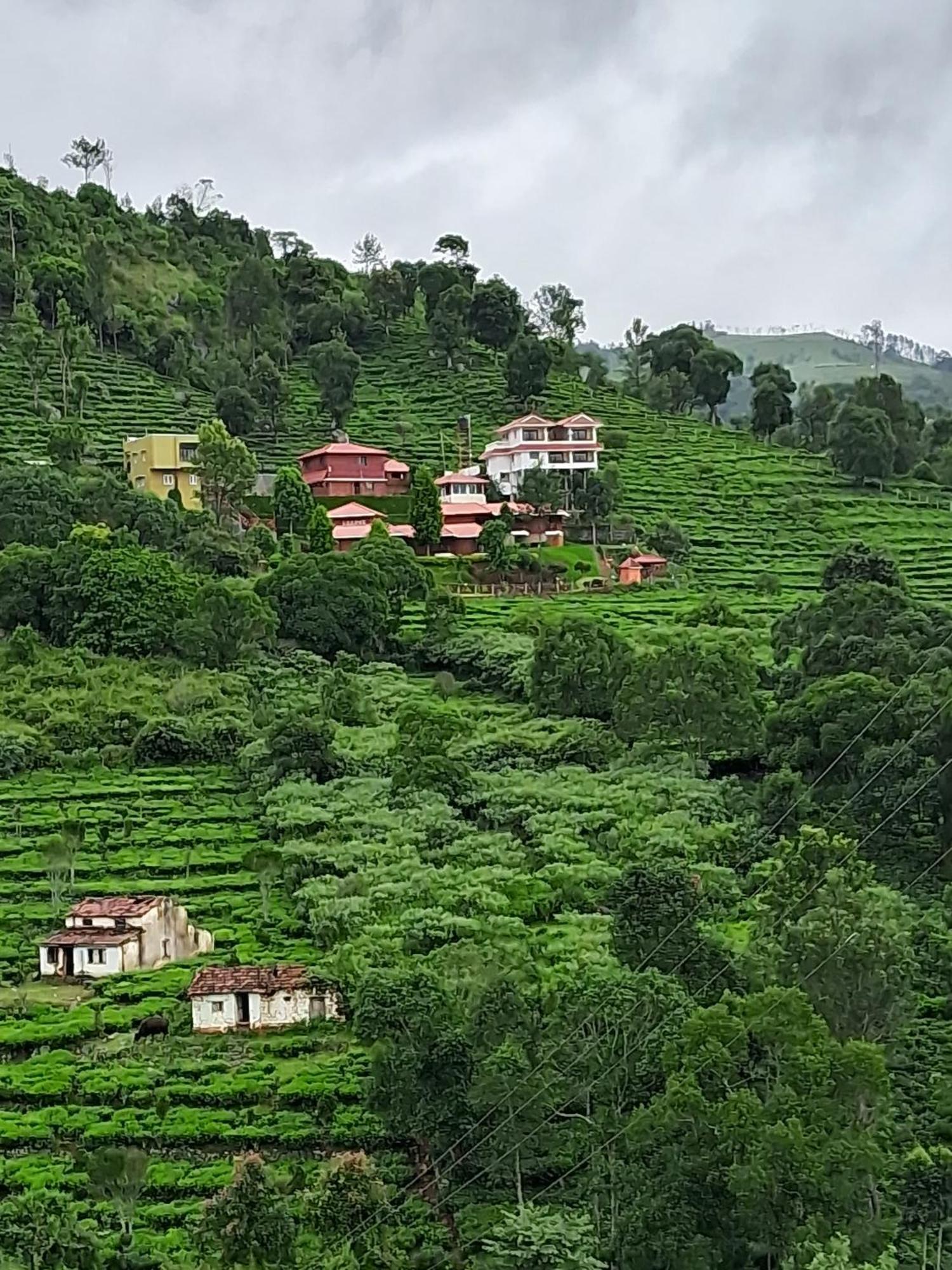 Hotel The Royale Ridge à Kotagiri Extérieur photo